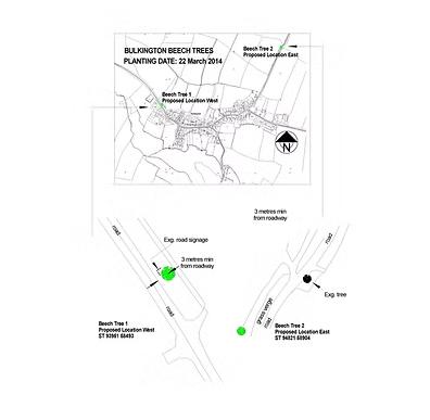 Bulkington Beech tree Map