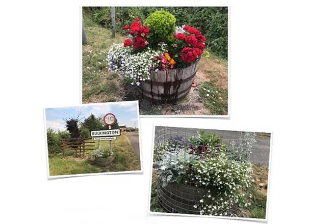 Bulkington in Bloom